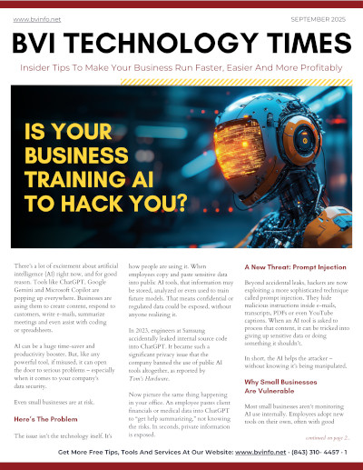 BuenaVista Information Systems Newsletter September 2025