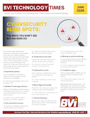 BuenaVista Information Systems Newsletter January 2026